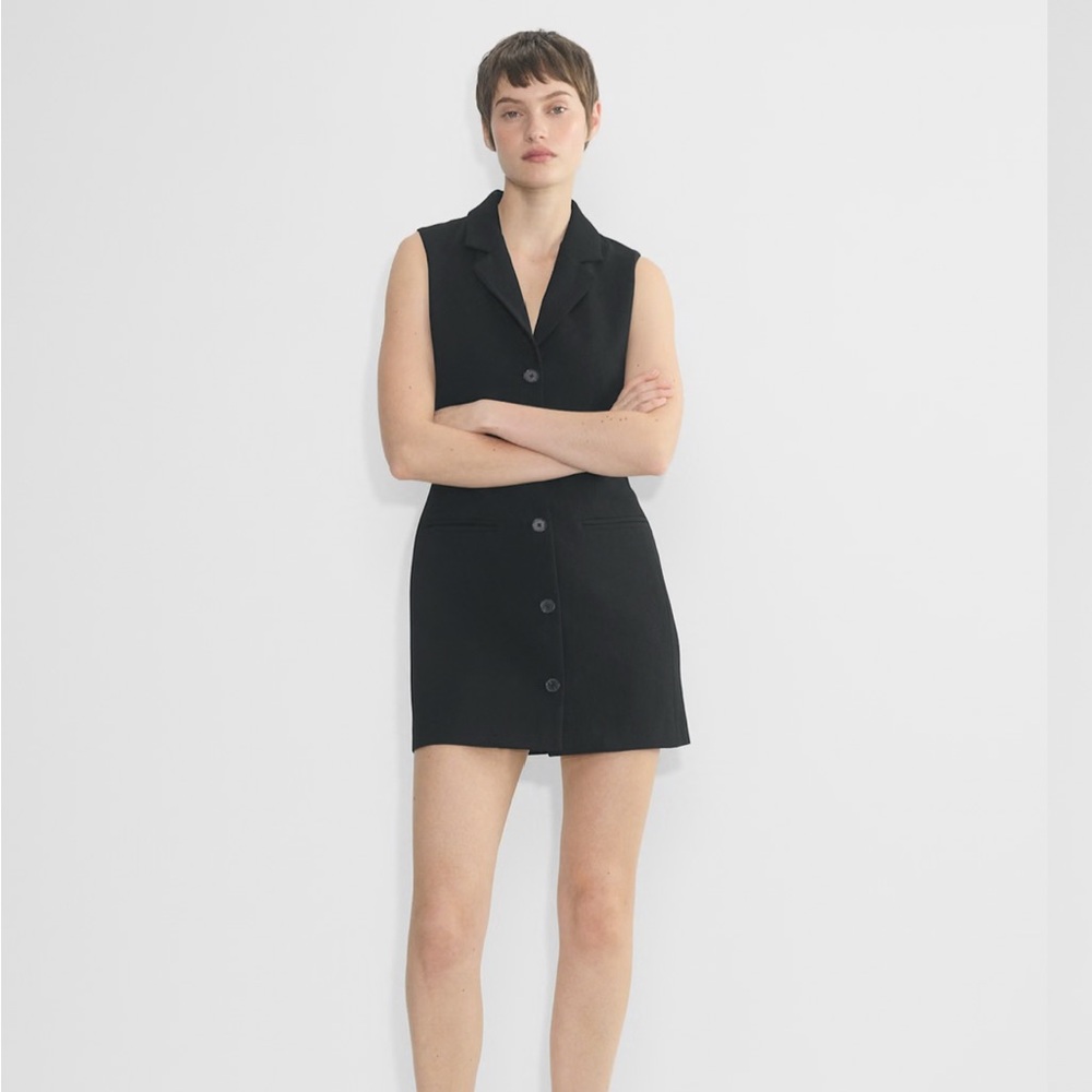 Aritzia Black Button-Front Mini Skirt
